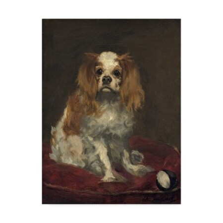 Trademark Fine Art Edouard Manet 'A King Charles Spaniel' Canvas Art, 14x19 BL01980-C1419GG